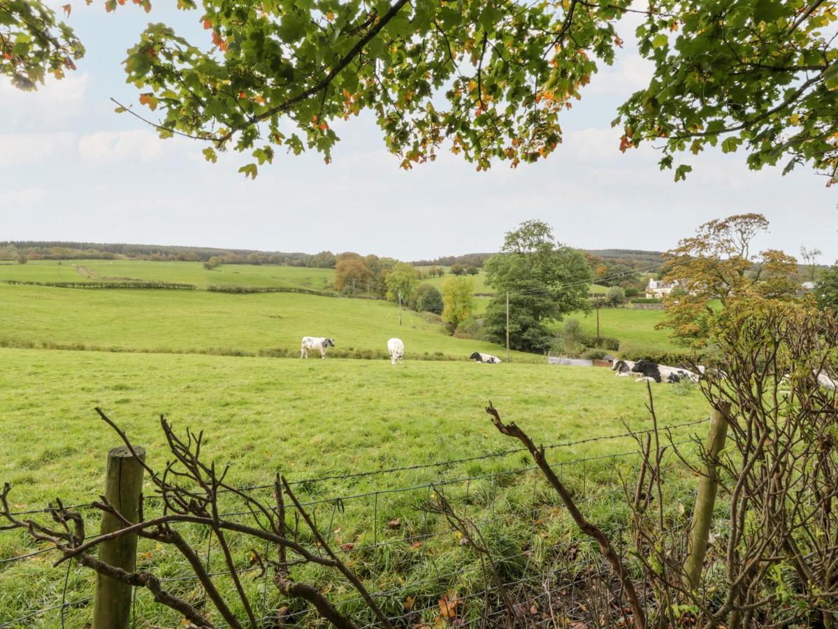 Whiteside Cottage Darvel Buitenkant foto
